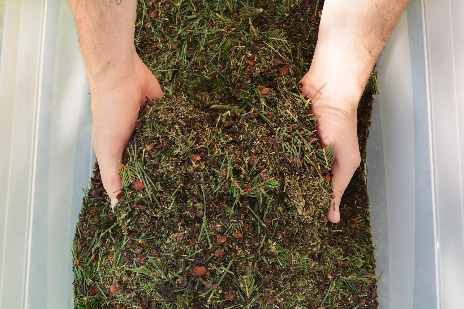 Zwei Hände sind inmitten von Gewürzen zu sehen.